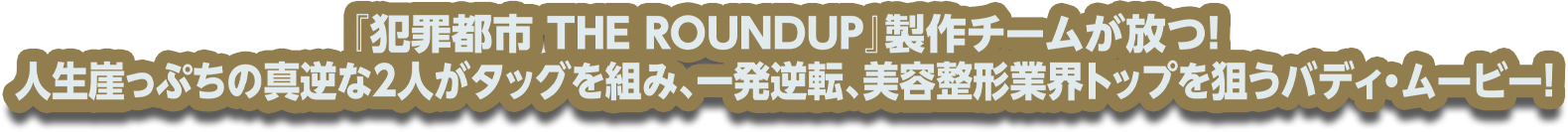 『犯罪都市 THE ROUNDUP』制作チームが放つ！人生崖っぷちの2人がタッグを組み、一発逆転、美容整形業界トップを狙うバディ・ムービー！